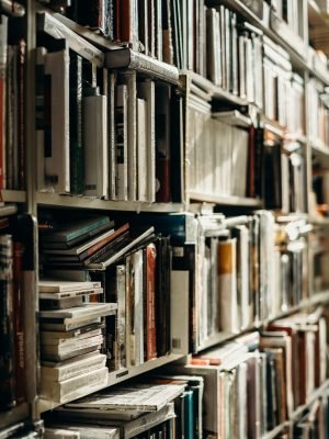 pexels-cottonbro-2925304