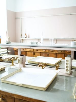 pexels-polina-tankilevitch-3735741